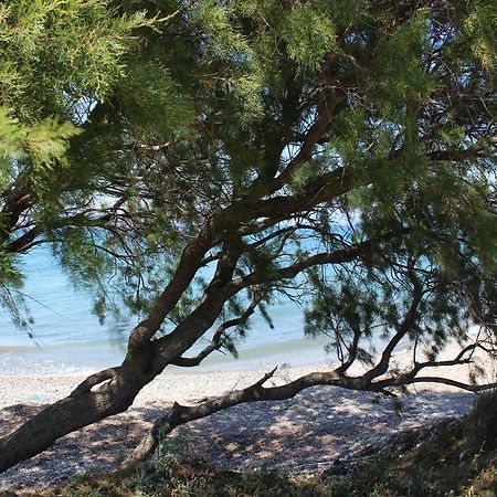 Corellia Asterias Beach Hotel Θεολόγος Εξωτερικό φωτογραφία