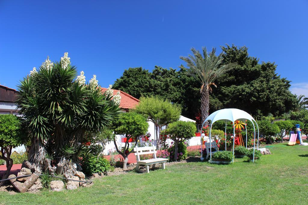 Corellia Asterias Beach Hotel Θεολόγος Εξωτερικό φωτογραφία